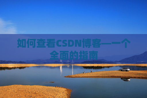 如何查看CSDN博客—一个全面的指南
